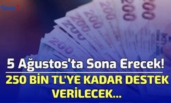Sakın Kaçırmayın! 250 Bin TL'ye Kadar Destek Verilecek...