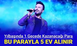 Sanatçıların yılbaşında kazanacağı para açıklandı: Tarkan, Ajda Pekkan, Sıla, Kenan Doğulu konserden ne kazanacak?