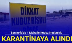 Şanlıurfa'da 1 mahalle kuduz nedeniyle karantinaya alındı