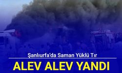 Şanlıurfa’dan son dakika haberi: Saman yüklü tır alev alev yandı