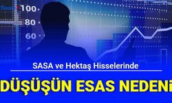 SASA ve Hektaş Hisseleri Neden Düşüyor? Düşüşün Asıl Nedeni Belli Oldu