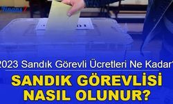 Seçimler yaklaşıyor: 2023 yılı sandık görevlisi ücretleri ne kadar olacak?