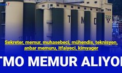 Sekreter, memur, mühendis, itfaiyeci... TMO mülakatsız personel alımı yapıyor 2023
