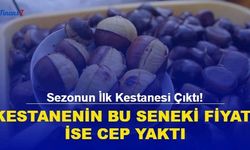 Sezonun İlk Kestanesi Çıktı! Fiyatı İse Cep Yaktı