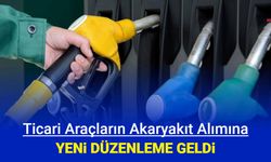 Şirket araçları için Ulusal Taşıt Tanıma Sistemi devreye alınıyor