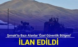 Şırnak'ta bazı alanlar 'özel güvenlik bölgesi' ilan edildi