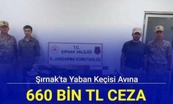 Şırnak'ta yaban keçisi avına 660 bin lira ceza