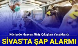 Sivas'ta şap alarmı: Köylerde hayvan giriş çıkışları yasaklandı