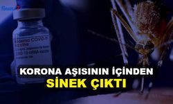 Skandal: Korona Aşısının İçinden Sinek Çıktı