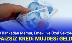 Son dakika: 3 bankada kamu, özel sektör çalışanları ve emeklilere faizsiz taksitli 30 bin TL kredi başvurusu başladı 2024