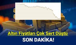 Son dakika: Altın fiyatları neden düşüyor Kasım 2024