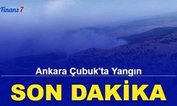 Son dakika: Ankara Çubuk'ta yangın