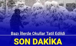 Son dakika: Bazı illerde okullar tatil edildi