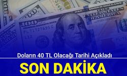 Son dakika: Doların 40 TL olacağı tarihi açıkladı