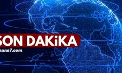 Son dakika: Hülya Mercen öldürüldü