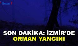 Son Dakika: İzmir'de Orman Yangını