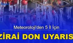 Son dakika: Meteoroloji'den 5 il için zirai don uyarısı!