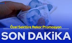 Son dakika: Özel sektöre rekor banka promosyonu