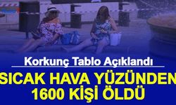 Son Dakika: Sıcak Hava Yüzünden 1600 Kişi Öldü