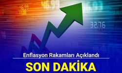 Son dakika: Şubat enflasyon rakamları açıklandı 2024