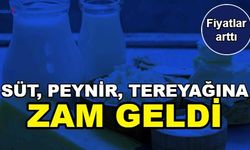 Son Dakika: Süt, Kaşar, Tereyağı ve Peynire Bir Zam Daha