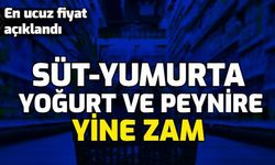 Son Dakika: Süt, Peynir Yoğurt ve Yumurtaya Zam