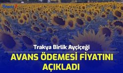 SON DAKİKA: Trakya Birlik Ayçiçeği Avans Ödemesi Fiyatını Açıkladı