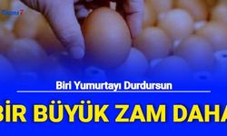 Son Dakika Yumurtaya Bir Zam Daha: 30'lu Yumurta Fiyatı Rekor Kırdı