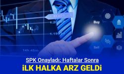 SPK'dan haftalar sonra ilk halka arz: DCT Trading Dış Ticaret talep toplama ne zaman, katılım endeksine uygun mu?