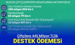 Sürü yöneticisi, manda, anaç koyun, sürü yenileme, kırsal kalkınma... 445 milyon TL tarımsal destek ödemesi açıklandı