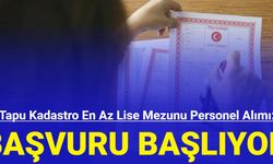 Tapu Kadastro Genel Müdürlüğü en az lise mezunu personel alımı başlıyor: İşte kadrolar ve başvuru tarihi 2023