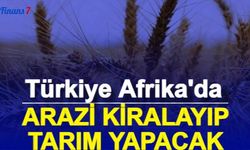 Tarım Bakanlığı 10 Ülkede Arazi Kiralayıp Tarım Yapacak