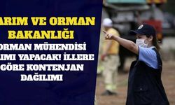 Tarım ve Orman Bakanlığı Orman Mühendisi Alımı Yapacak! İllere Göre Kontenjan Dağılımı