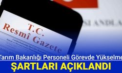 Tarım ve Orman Bakanlığı taşra teşkilatı personeli görevde yükselme şartları ve zorunlu hizmet süresi açıklandı
