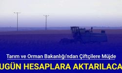 Tarım ve Orman Bakanlığı'ndan çiftçilere müjde