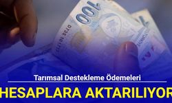 Tarımsal destekleme ödemeleri hesaplara aktarılıyor