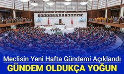 TBMM bu hafta oldukça yoğun: İşte meclis gündemi