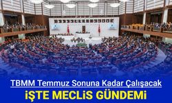 TBMM Temmuz sonuna kadar çalışacak: İşte tatil öncesi meclis gündemi
