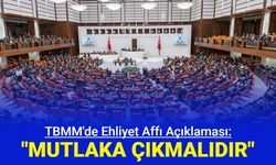 TBMM'de ehliyet affı açıklaması: "Mutlaka çıkmalı"