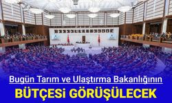 TBMM'de gündem Tarım ve Ulaştırma Bakanlığı bütçeleri