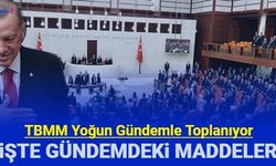 TBMM'nin 10-12 Ekim gündemi açıklandı