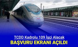 TCDD 109 tren teşkil işçisi ve istasyon operasyon işçisi alımı başvurusu başladı 2024