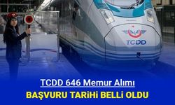 TCDD 646 personel alımı başvurusu 11 Temmuz'da başlıyor: Devlet Demiryolları memur alımı kadroları 2024