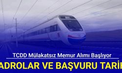 TCDD mülakatsız personel alımı başvuru tarihi açıklandı: Kadrolar ve başvuru tarihi 2024