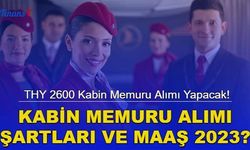 THY 2600 Kabin Memuru Alımı Yapacak! Kabin Memuru Alımı Şartları ve Maaşları 2023?