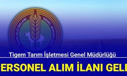 Tigem Tarım İşletmesi Genel Müdürlüğü personel alım ilanı geldi: İşte başvuru 2024