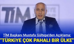 Tim Başkanı Gültepe: Türkiye çok pahalı bir ülke