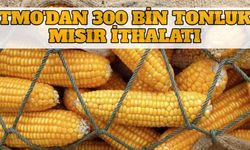 TMO' dan 300 Bin Tonluk Mısır İthalatı