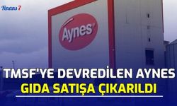 TMSF'ye Devredilen Aynes Gıda Satışa Çıkarıldı