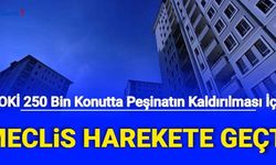TOKi 250 Bin Sosyal Konutta Peşinatın Kaldırılması İçin Harekete Geçildi: İşte Yeni Formül